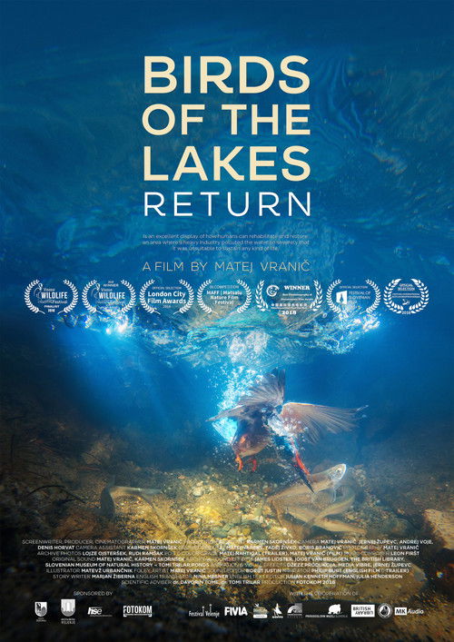 Ptice jezer, njihova vrnitev (2018) poster