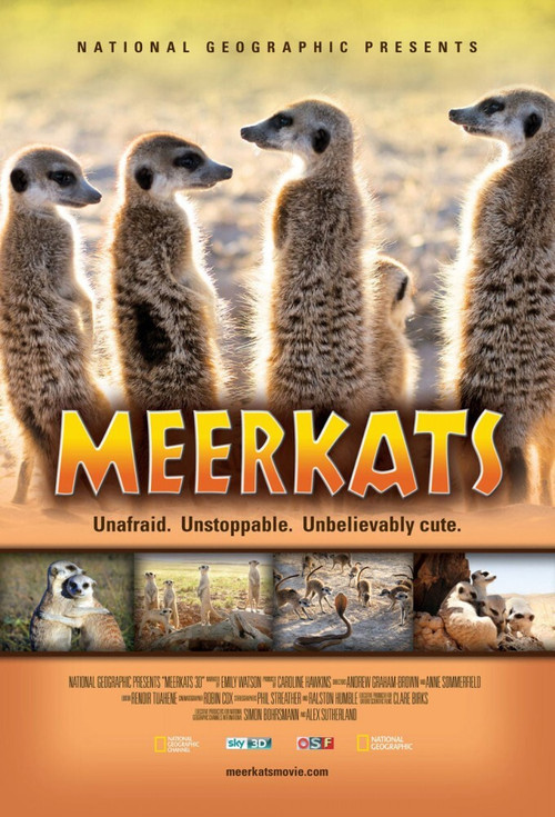 Meerkats 3D (2011) poster