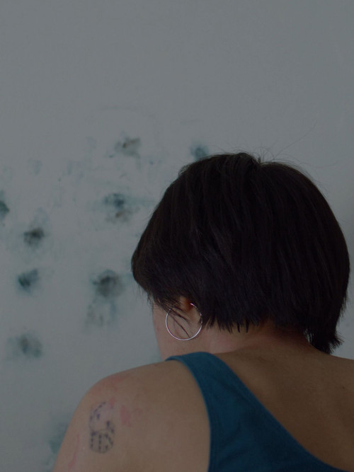 Through the Flow of Summer Snow (2024) poster