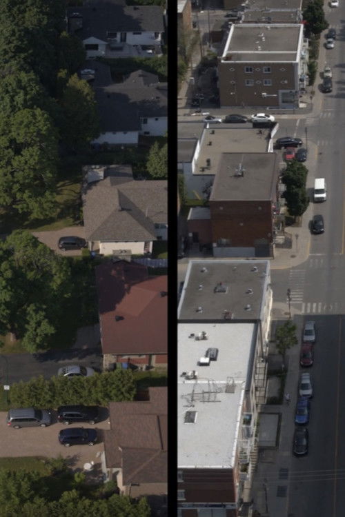 Neighbors in My Backyard (2021) poster