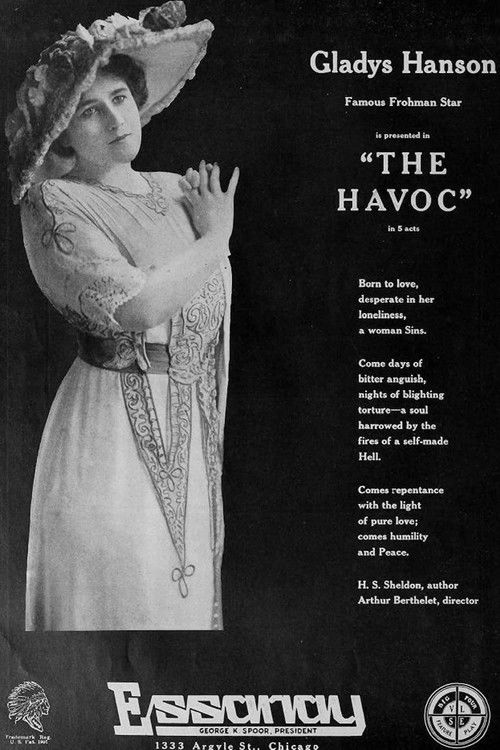 The Havoc (1916) poster