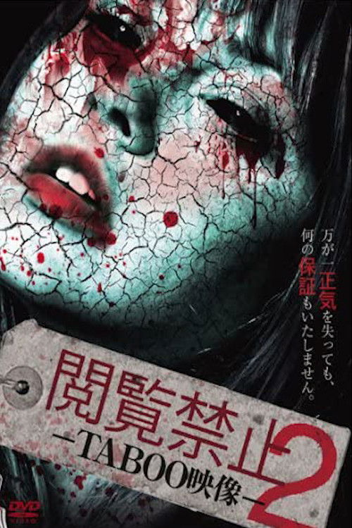 Viewing Prohibited 2 TABOO Video (2013) poster
