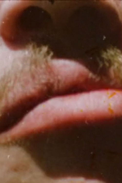 Invocations of Canyons and Boulders (for Stan Brakhage) (1966) poster