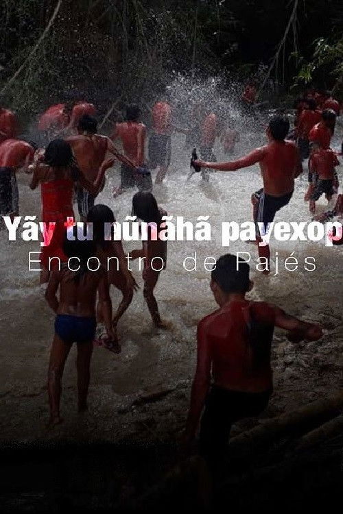 Yãy tu nũnãhã payexop: Encontro de Pajés (2021) poster