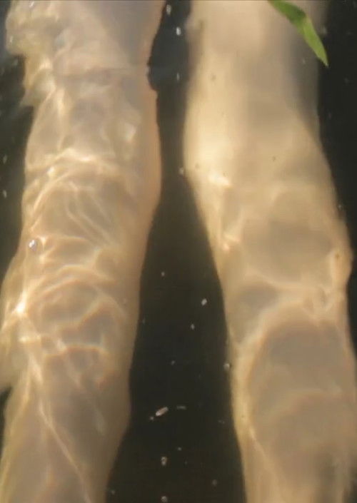 Sister City (2013) poster