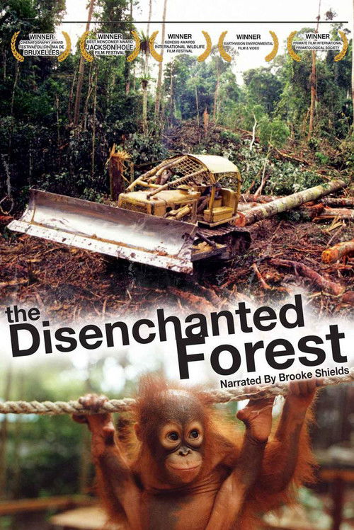Disenchanted Forest (2002) poster