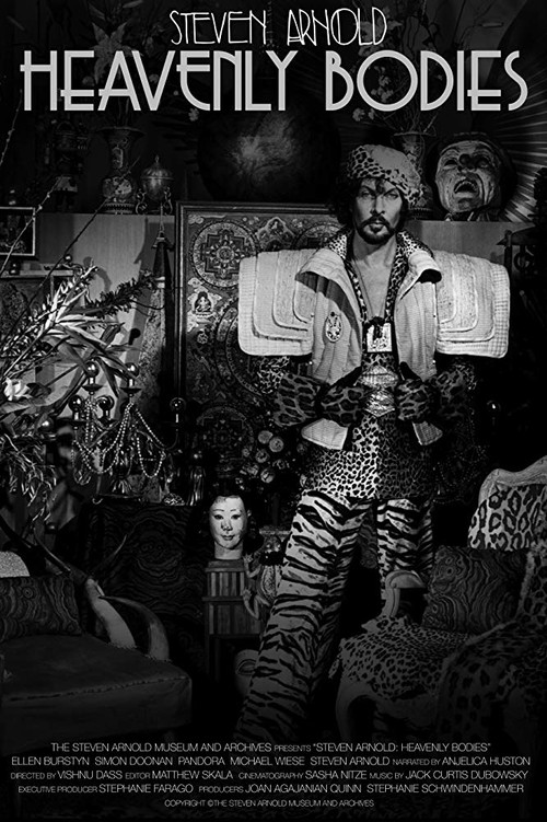 Steven Arnold: Heavenly Bodies (2019) poster