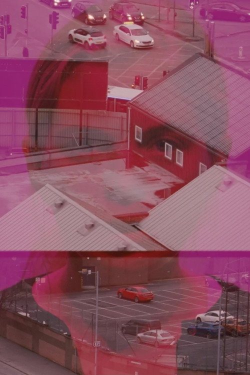 History of the Present (2024) poster