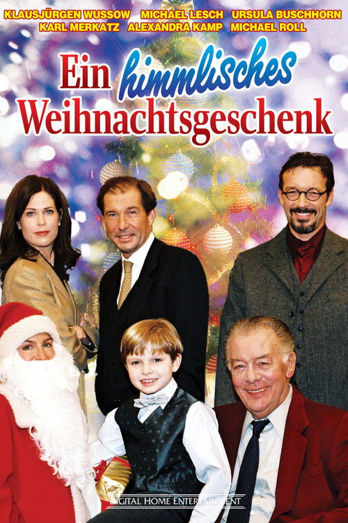 Ein himmlisches Weihnachtsgeschenk (2002) poster