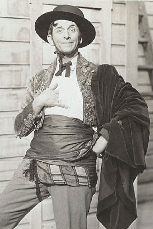 The Sap (1929) poster