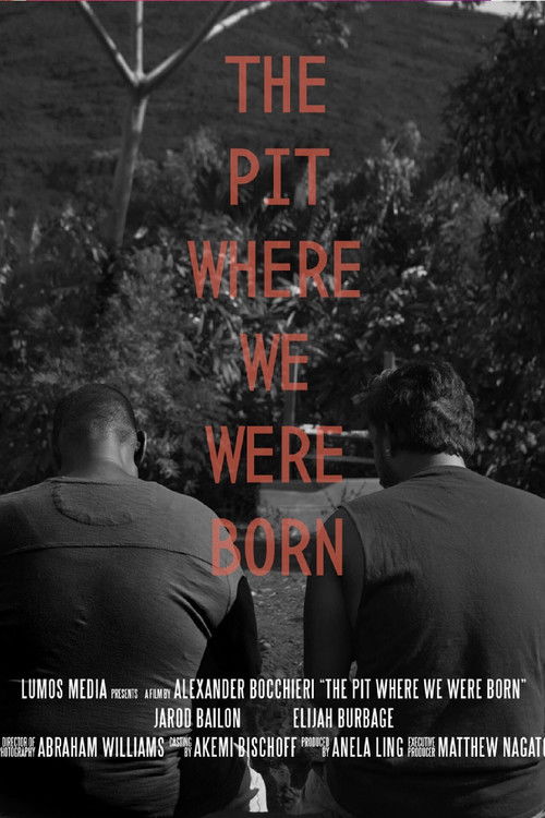 The Pit Where We Were Born (2020) poster