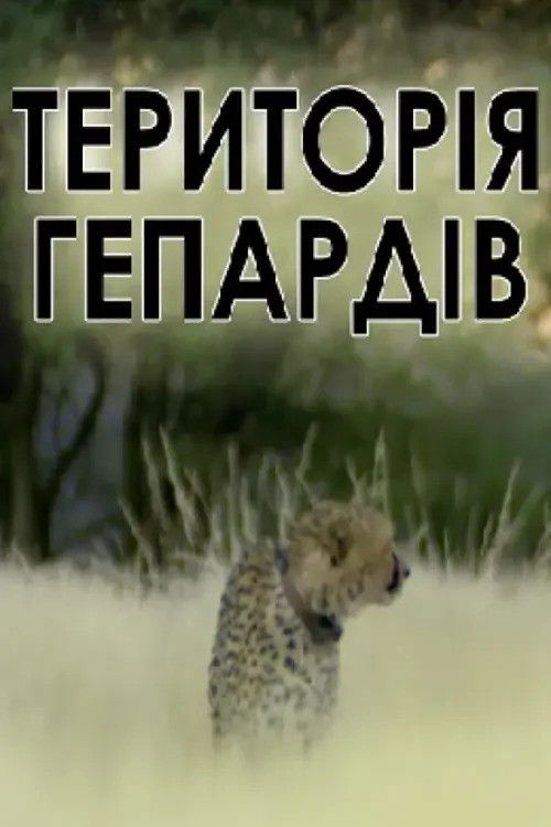 Man, Cheetah, Wild (2013) poster