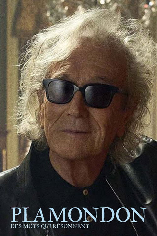Plamondon: des mots qui résonnent (2024) poster