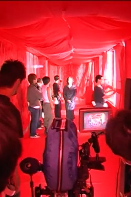 Strange Days: The Making of Strange Circus (2005) poster