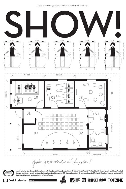 Show! (2013) poster