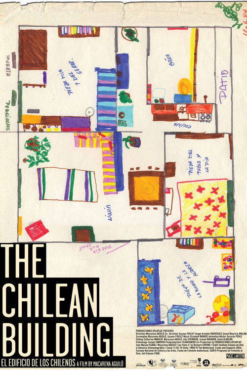 The Chilean Building (2010) poster