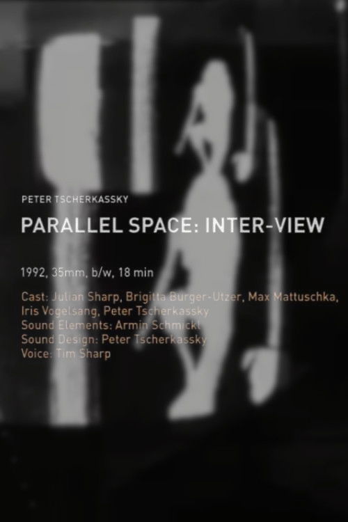 Parallel Space: Inter-View (1994) poster