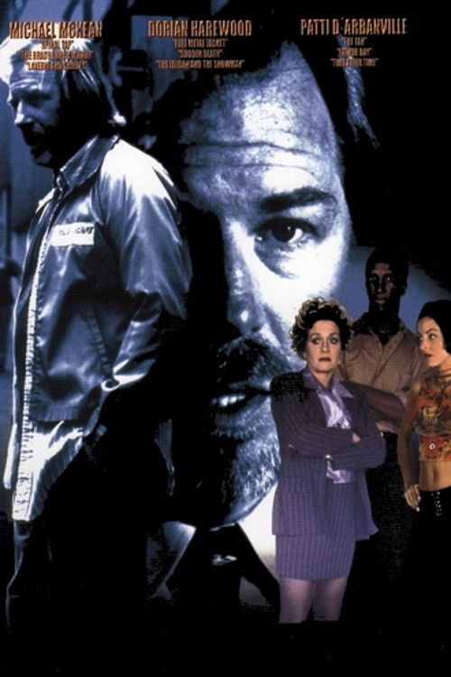 Archibald the Rainbow Painter (1998) poster