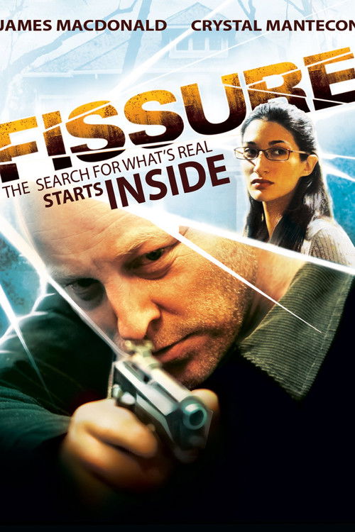 Fissure (2011) poster
