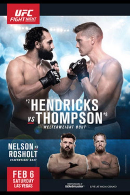 UFC Fight Night 82: Hendricks vs. Thompson (2016) poster