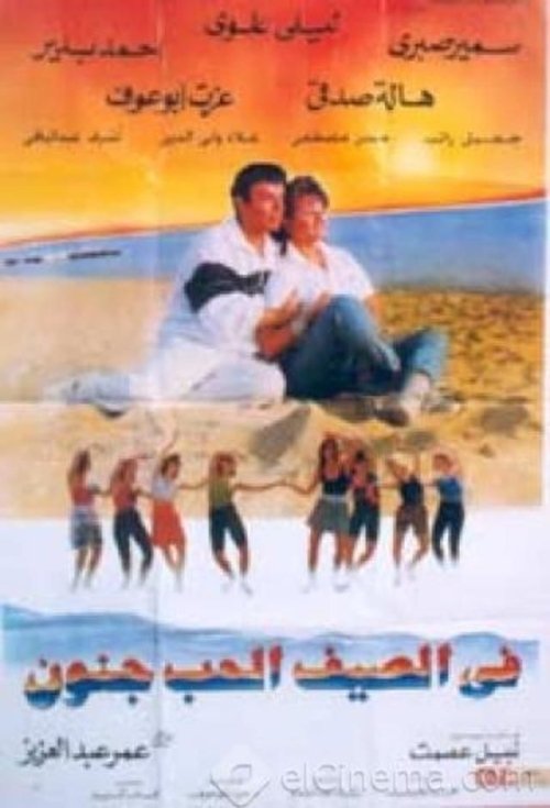Love Is Crazy in the Summer (1995) poster