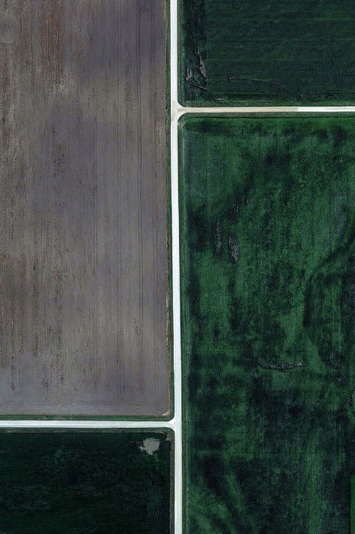 Grid Corrections (2017) poster