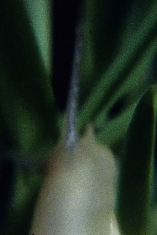 Película sudorosa I (2009) poster