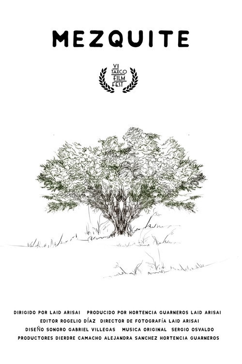 Mezquite (2021) poster