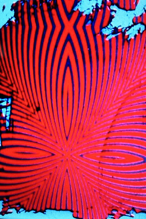 Dismal Universal Hiss (1988) poster