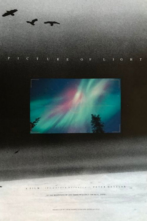 Picture of Light (1994) poster
