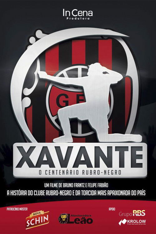 Xavante - O Centenário Rubro-negro (2012) poster
