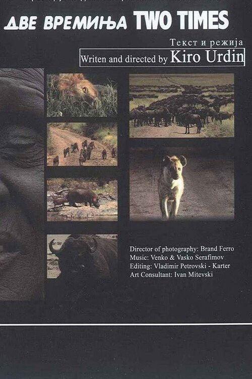 Две времиња (2011) poster
