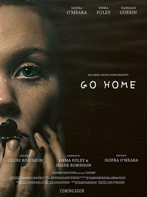 Go Home (2018) poster