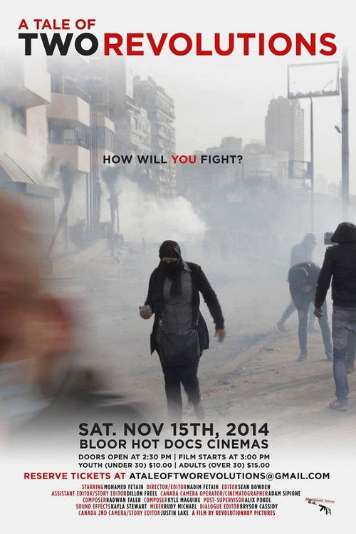 A Tale of Two Revolutions (2014) poster
