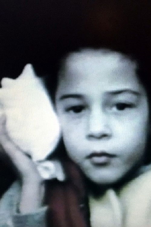 What Nobody Saw (1990) poster