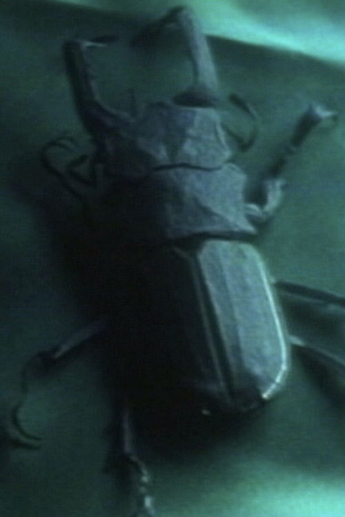 Entomologist (1995) poster