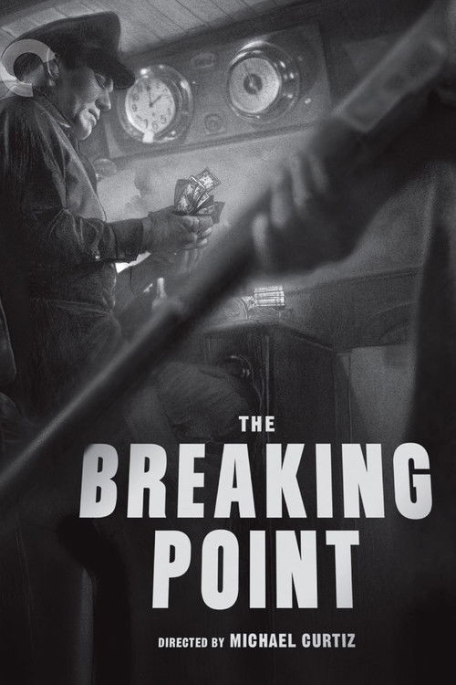 Fluid Style: Michael Curtiz and The Breaking Point (2017) poster