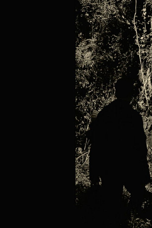 Imerso (2014) poster