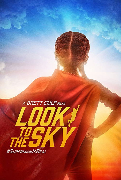 Look to the Sky (2017) poster