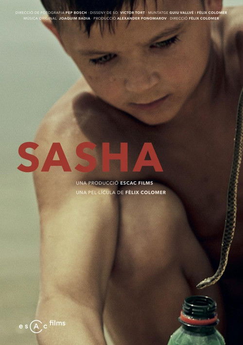 Sasha (2016) poster