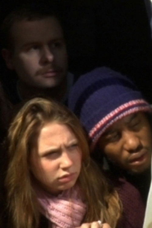 Trailerpark (2010) poster