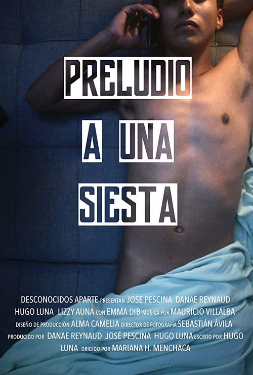 Preludio a una Siesta (2025) poster
