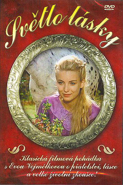 Das Licht der Liebe (1991) poster