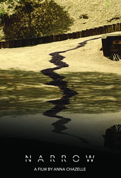 Narrow (2021) poster