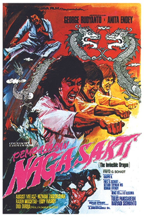 Pembalasan Naga Sakti (1976) poster