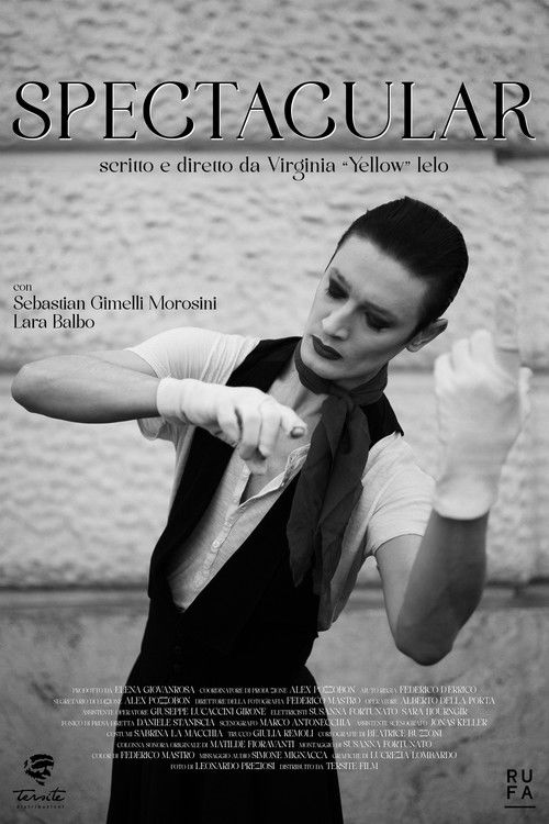 Spectacular (2024) poster