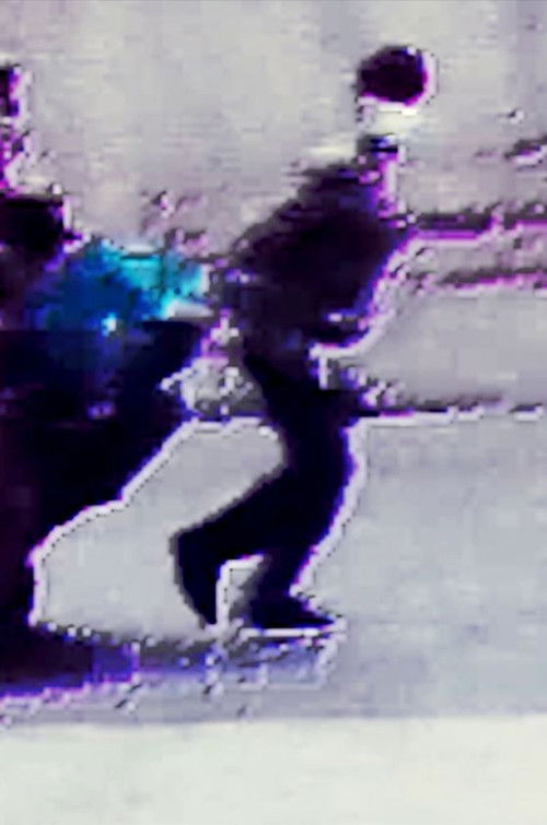 We dreamed in places that no longer exist (2024) poster