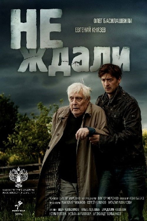 Не ждали (2019) poster