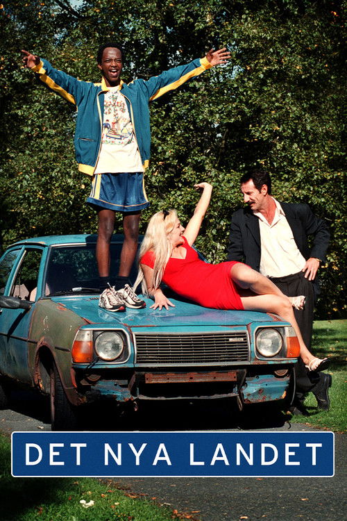 The New Country (2000) poster