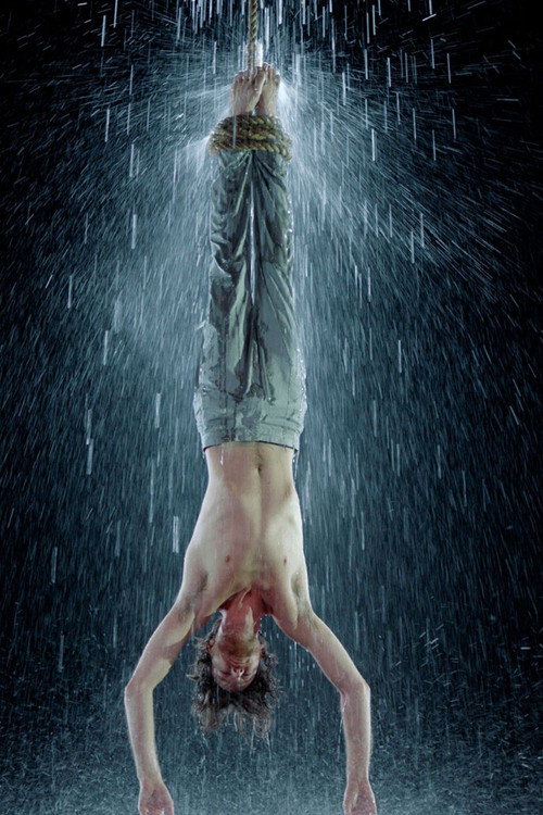 Martyrs: Water (2014) poster